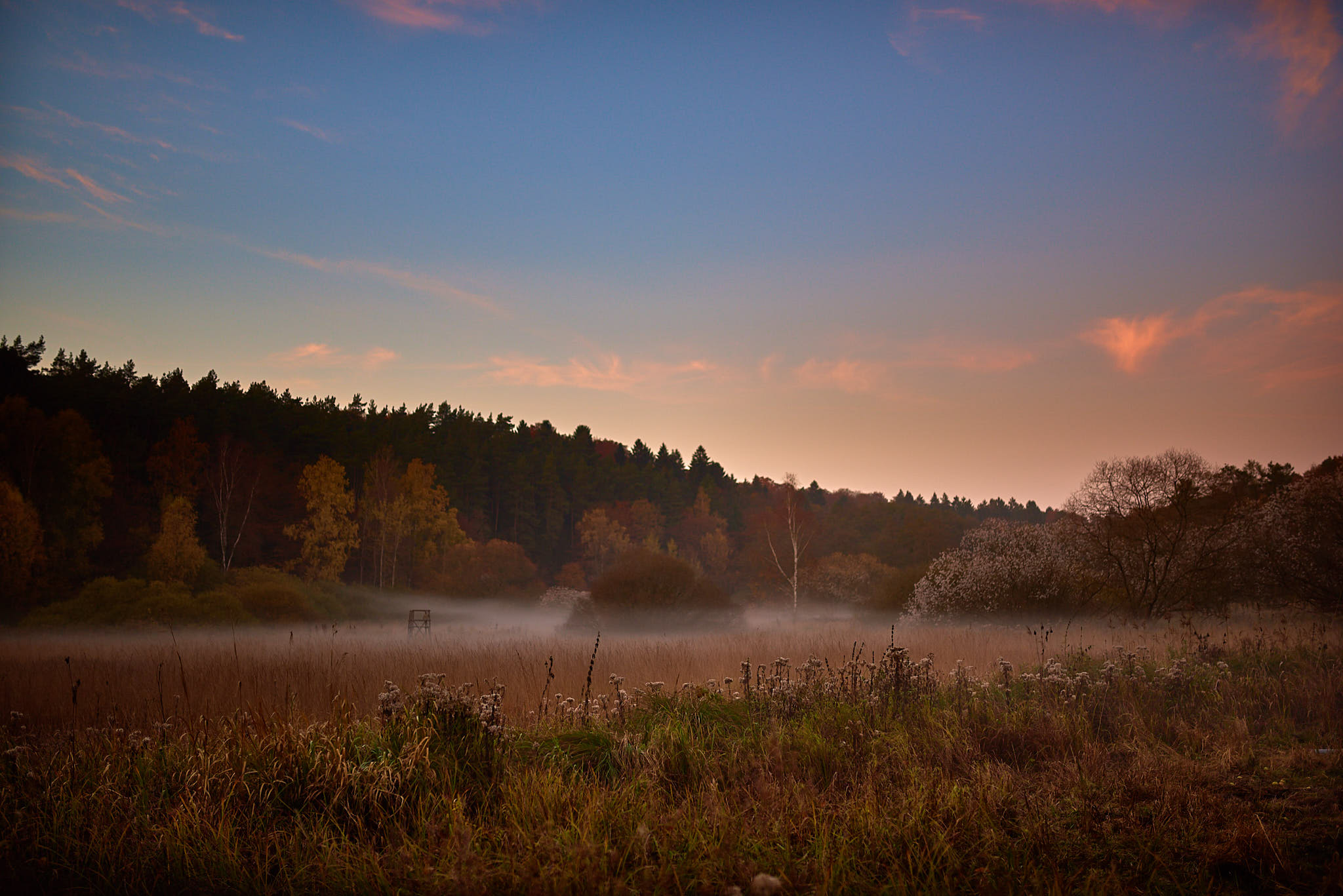 2015 11 01   D750 6059